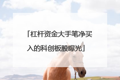 杠杆资金大手笔净买入的科创板股曝光
