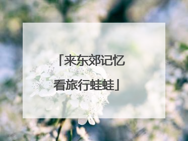 来东郊记忆 看旅行蛙蛙