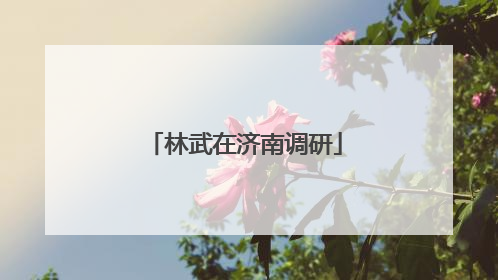 林武在济南调研