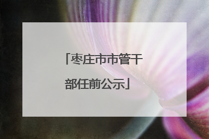 枣庄市市管干部任前公示