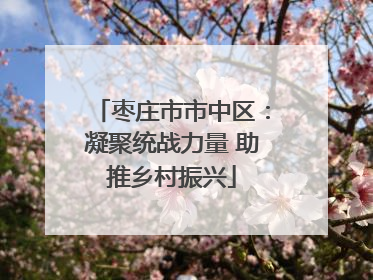 枣庄市市中区：凝聚统战力量 助推乡村振兴