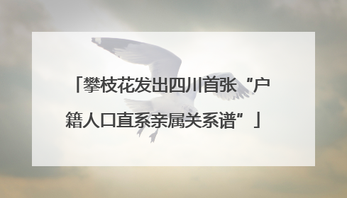 攀枝花发出四川首张“户籍人口直系亲属关系谱”