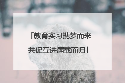 教育实习携梦而来 共促互进满载而归