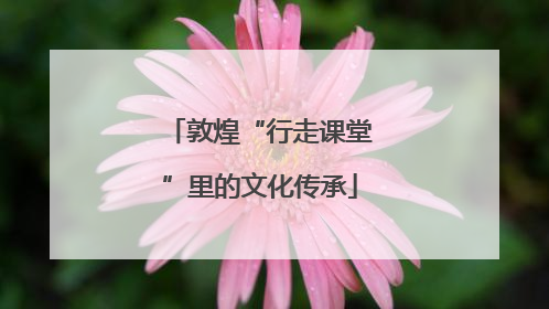 敦煌“行走课堂”里的文化传承