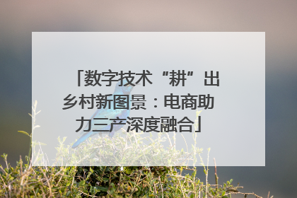 数字技术“耕”出乡村新图景：电商助力三产深度融合