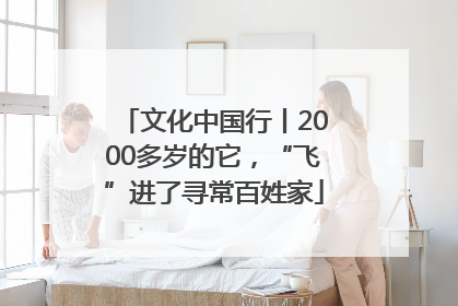 文化中国行丨2000多岁的它，“飞”进了寻常百姓家