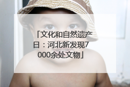 文化和自然遗产日：河北新发现7000余处文物