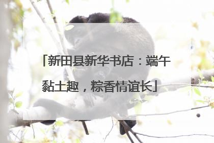 新田县新华书店：端午黏土趣，粽香情谊长