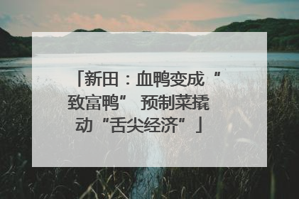 新田：血鸭变成“致富鸭” 预制菜撬动“舌尖经济”