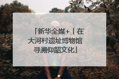 新华全媒+丨在大河村遗址博物馆寻溯仰韶文化