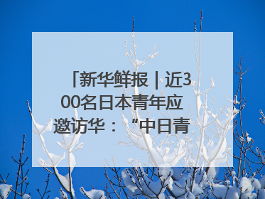 新华鲜报｜近300名日本青年应邀访华：“中日青年可以创造更好的未来”