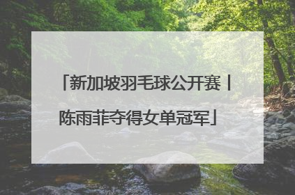 新加坡羽毛球公开赛丨陈雨菲夺得女单冠军
