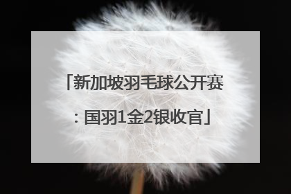 新加坡羽毛球公开赛：国羽1金2银收官