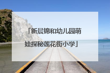 新晨锦和幼儿园萌娃探秘莲花街小学