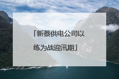 新蔡供电公司以练为战迎汛期