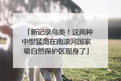 新记录鸟类！这两种中型猛禽在南滚河国家级自然保护区现身了