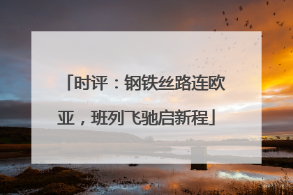 时评：钢铁丝路连欧亚，班列飞驰启新程