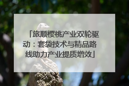 旅顺樱桃产业双轮驱动：套袋技术与精品路线助力产业提质增效