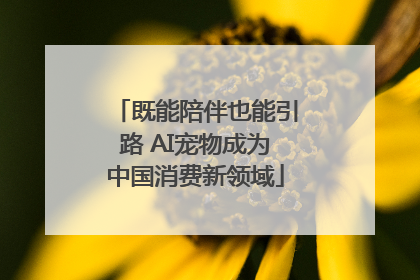 既能陪伴也能引路 AI宠物成为中国消费新领域