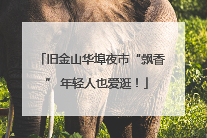 旧金山华埠夜市“飘香” 年轻人也爱逛！