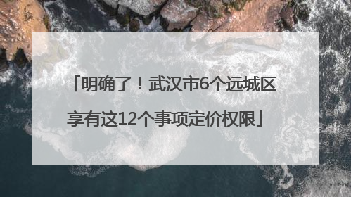 明确了！武汉市6个远城区享有这12个事项定价权限