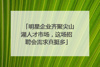 明星企业齐聚尖山湖人才市场，这场招聘会需求真挺多