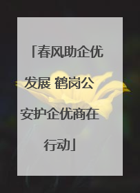 春风助企优发展 鹤岗公安护企优商在行动