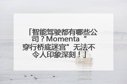 智能驾驶都有哪些公司？Momenta“穿行桥底迷宫”无法不令人印象深刻！