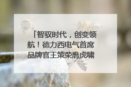 智驭时代，创变领航！德力西电气首席品牌官王策荣膺虎啸奖年度品牌人物