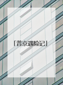 普京遇险记