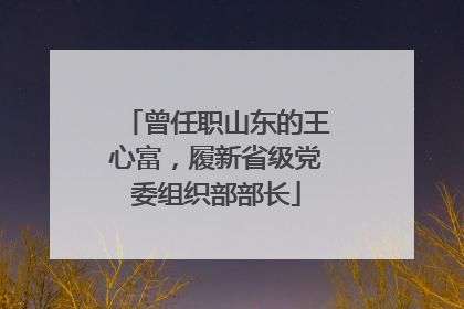 曾任职山东的王心富，履新省级党委组织部部长