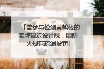 曾参与检测黄鹤楼的老牌建筑设计院，因防火规范疏漏被罚