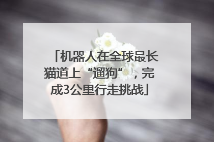 机器人在全球最长猫道上“遛狗”，完成3公里行走挑战