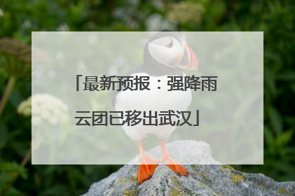 最新预报：强降雨云团已移出武汉