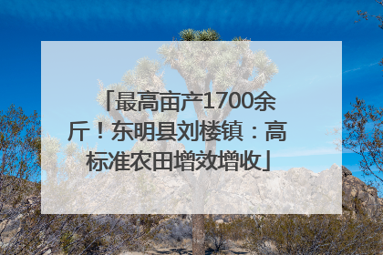 最高亩产1700余斤！东明县刘楼镇：高标准农田增效增收