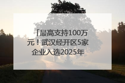 最高支持100万元！武汉经开区5家企业入选2025年度武汉市重点研发计划拟立项项目名单