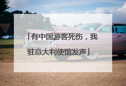 有中国游客死伤，我驻意大利使馆发声