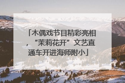 木偶戏节目精彩亮相，“茉莉花开”文艺直通车开进海师附小