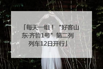 每天一组！“好客山东·齐鲁1号”第二列列车12日开行