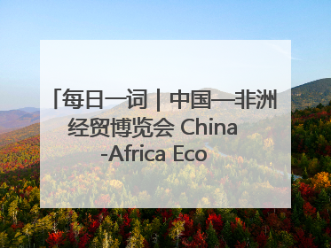 每日一词｜中国—非洲经贸博览会 China-Africa Economic and Trade Expo