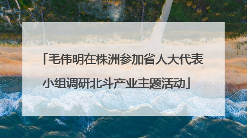 毛伟明在株洲参加省人大代表小组调研北斗产业主题活动