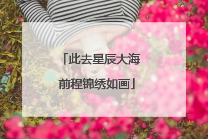 此去星辰大海 前程锦绣如画