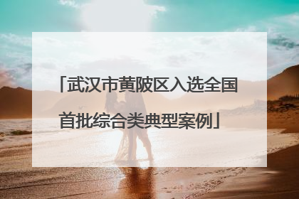 武汉市黄陂区入选全国首批综合类典型案例