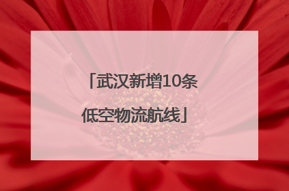 武汉新增10条低空物流航线