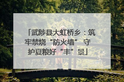 武陟县大虹桥乡：筑牢禁烧“防火墙” 守护夏粮好“丰”景