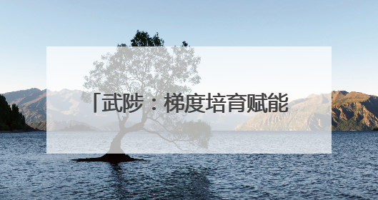 武陟：梯度培育赋能企业“拔节生长”