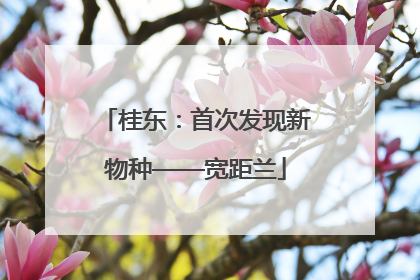 桂东：首次发现新物种——宽距兰
