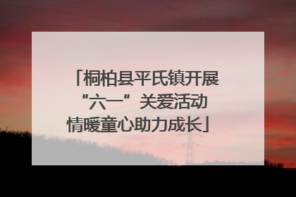 桐柏县平氏镇开展“六一”关爱活动 情暖童心助力成长