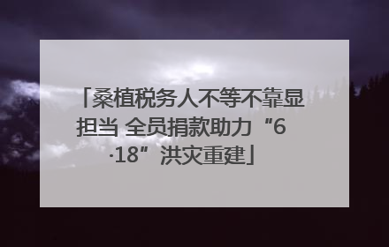 桑植税务人不等不靠显担当 全员捐款助力“6·18”洪灾重建