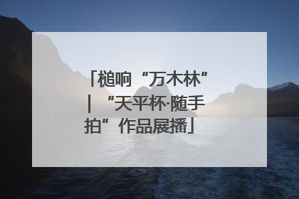 槌响“万木林”｜“天平杯·随手拍”作品展播